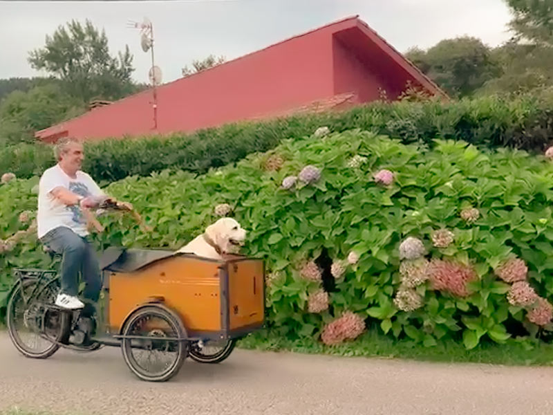 Bicicleta con carro apta para mascotas
